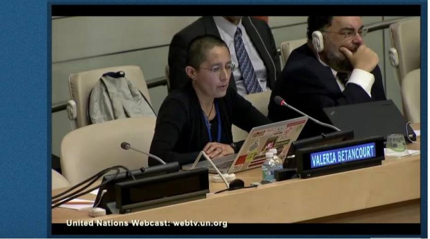 WSIS+10. New York, October 2015