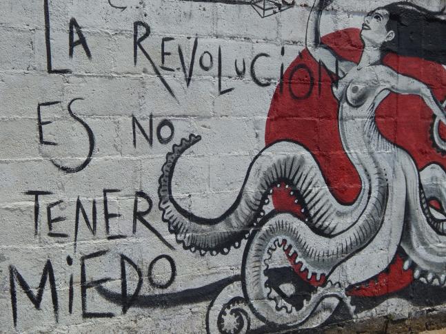 Photo by Lucy Toner under CCO 1.0 licence (https://www.publicdomainpictures.net/en/view-image.php?image=79691&picture=the-revolution-is-not-being-afraid)