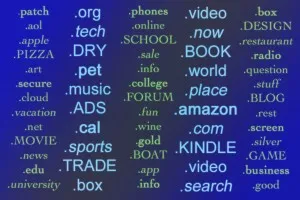 Graphic by Elizabeth Wiley/Flip the Media image linking to The internet domain name system and the right to culture